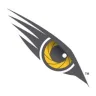 Eagle Eye Security Solutions Ltd. logo