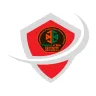 G4U Security LTD logo