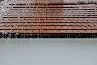best roofing companies in edmonton - edmonton top 10