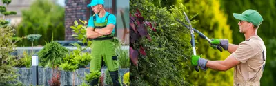 The Best Landscaping Companies in Edmonton